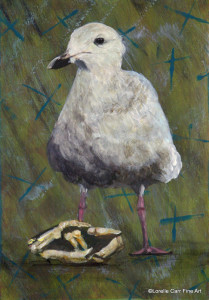 Day 56 - Black-Tailed Gull, Acrylic on 5 X 7 Cradle Board, $72.00.