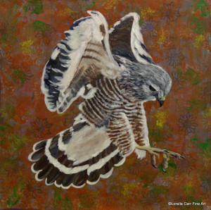 Day 70 - Red-shouldered Hawk, Acrylic on 8 X 8 Cradle Board, $90.00.