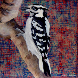 Day 85 - Female Hairy Woodpecker, Acrylic on 6 X 6 Cradle Board, $82.00.