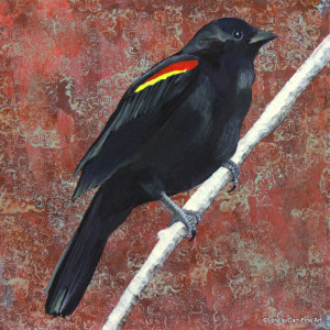 Day 90 - Red-Winged Black Bird, Acrylic on 8 X 8 Cradle Board, $90.00.